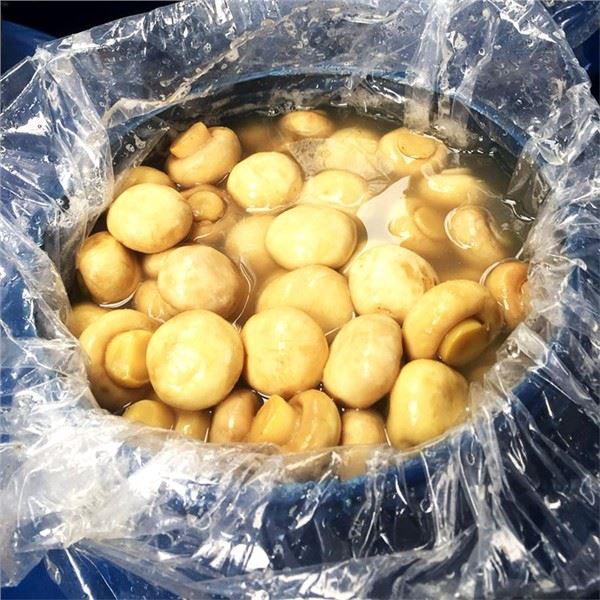 Bolehkah saya menggunakan cendawan dalam air garam untuk membuat sos piza cendawan?