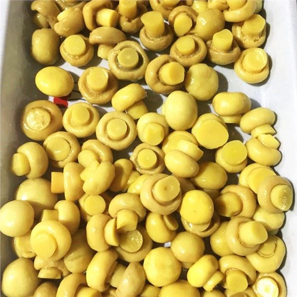 Apakah kegunaan cecair dalam tin cendawan yang dihiris dalam air garam?