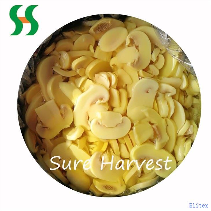 Salted Sliced Mushroom In SO2 In Drum