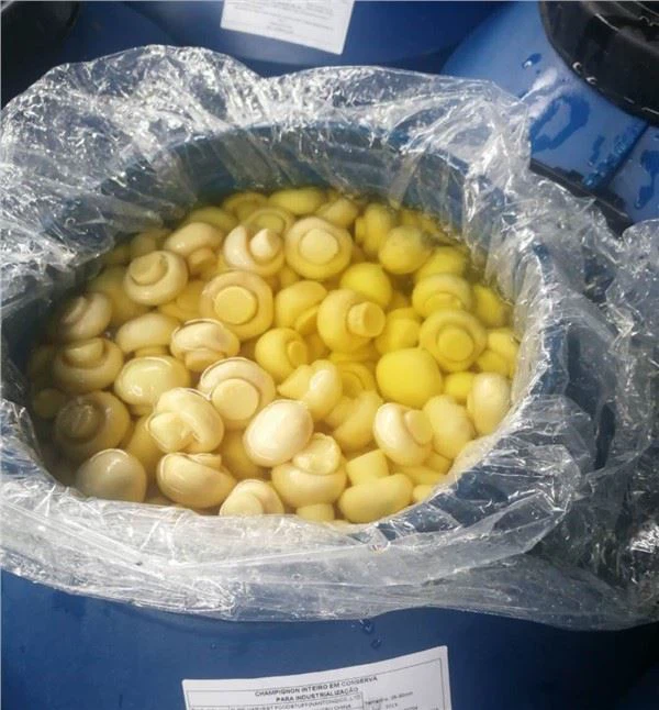 Adakah cendawan dalam air garam menyerap perisa lain dengan mudah?