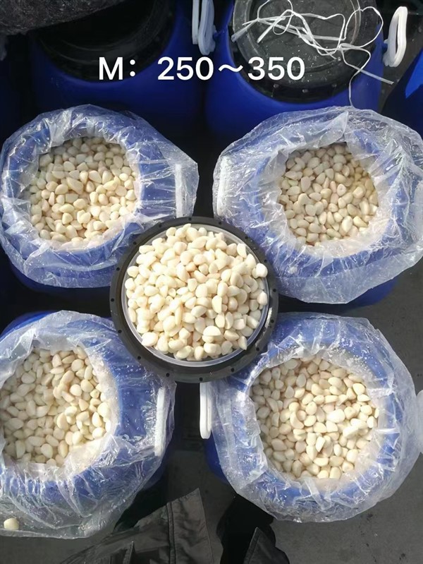 Bawang Putih Cina dalam Air Garam dalam Tong