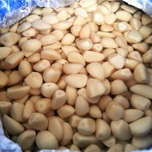 Bawang putih
